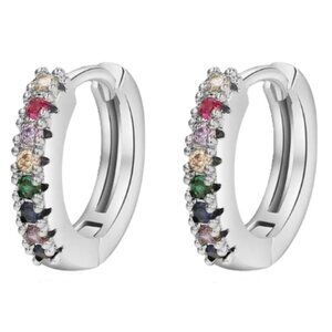 Lymphatic Germanium Magnetology Drainage Silver Electro-Plated Hoop Earrings